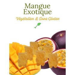 ourson infusion mangue exotique VEGETALIEN