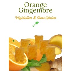 ourson infusion Orange Gingembre VEGETALIEN