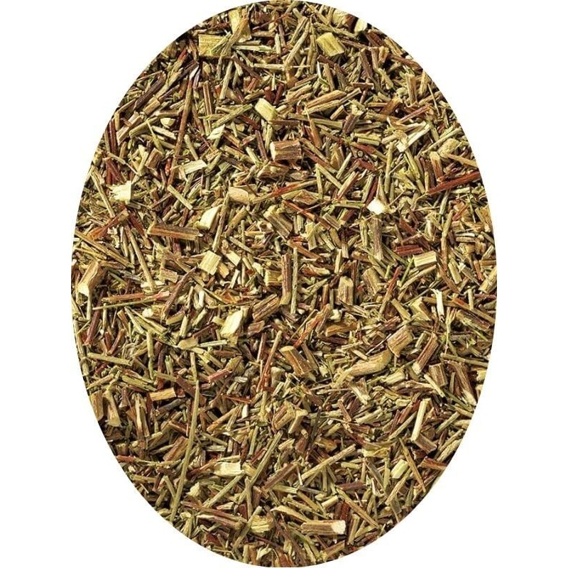 Rooibos Vert