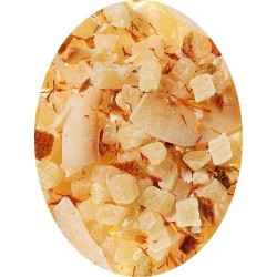Infusion Coco Limette Aloe Vera