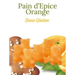 ourson infusion pain d'épice orange